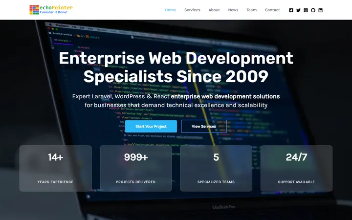 EchoPointer website homepage preview