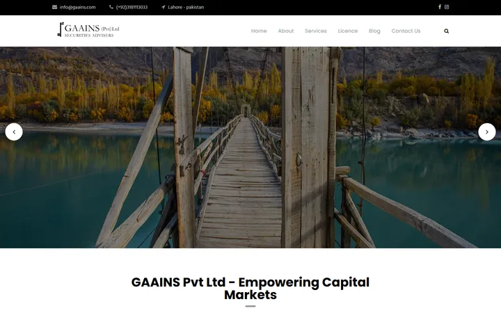 GAAINS Pvt Ltd website homepage preview